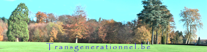 transgenerationnel.be